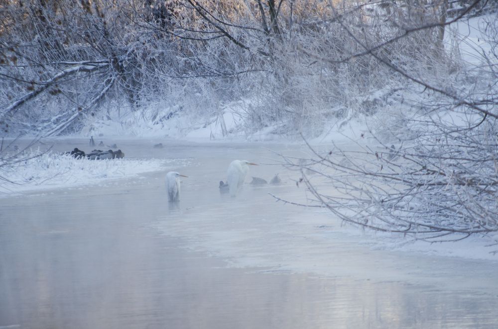 Photograph by Руслан Савченко