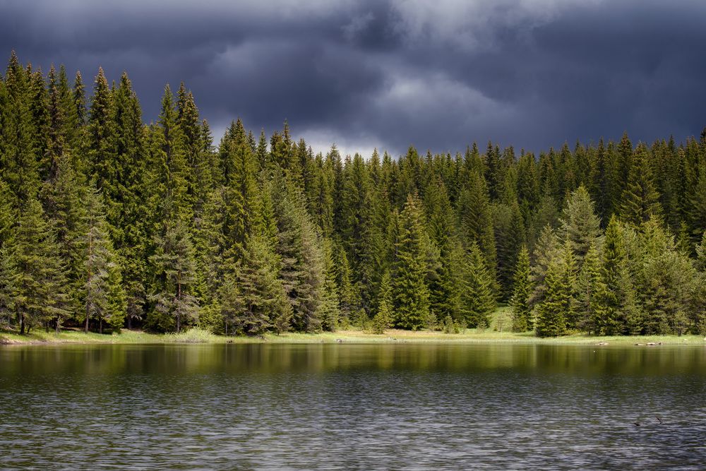 Фотография автора Ivan Atanasov