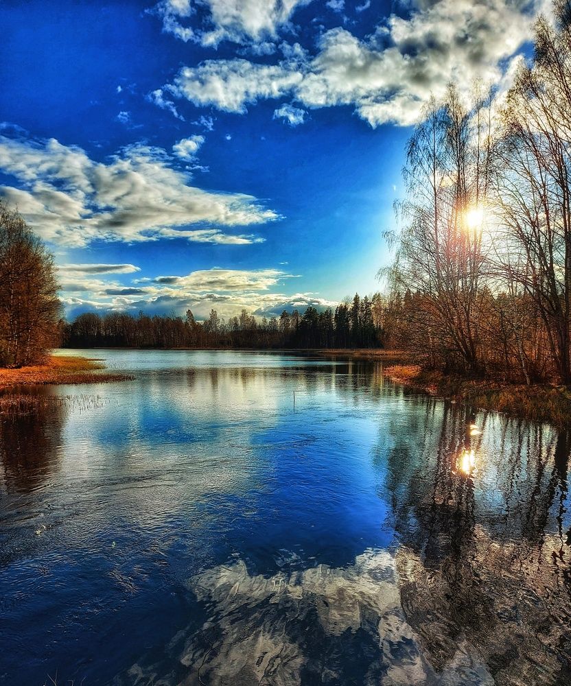 Photograph by Håkan Frisk
