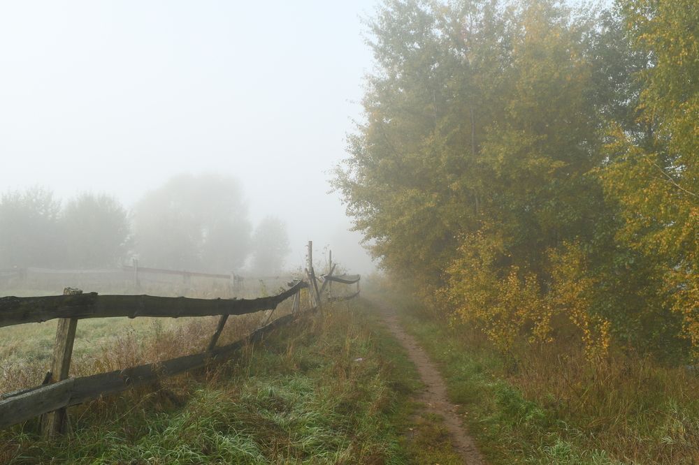 Photograph by Виталий Попов