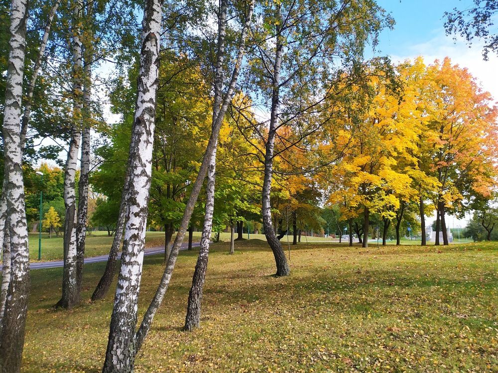 Photograph by Людмила Муравьева