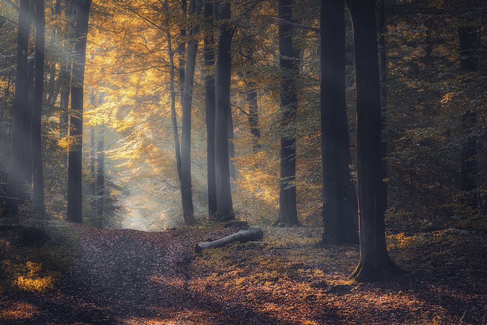 Photograph by Michał Tomczak