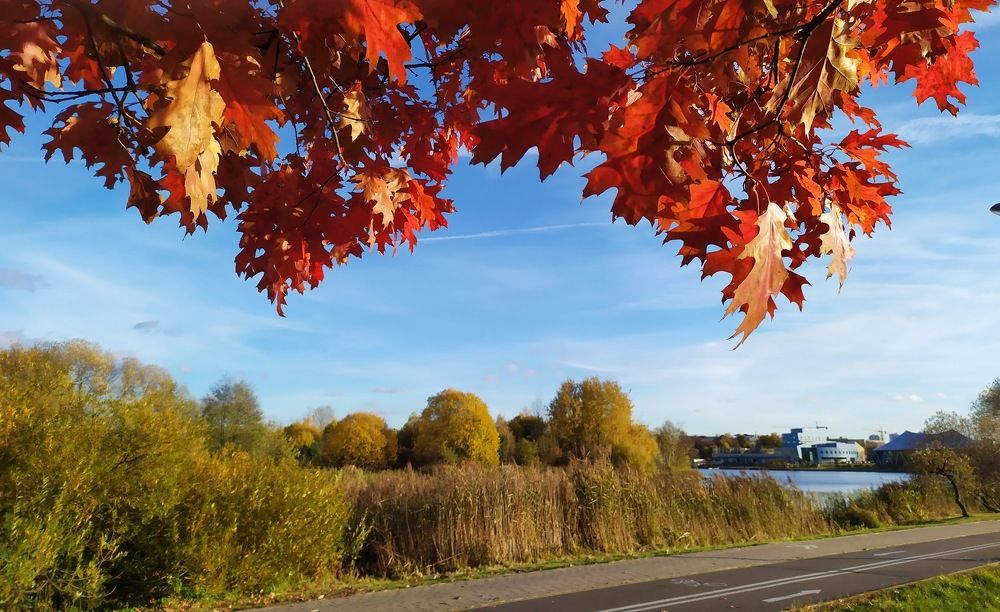 Photograph by Людмила Муравьева