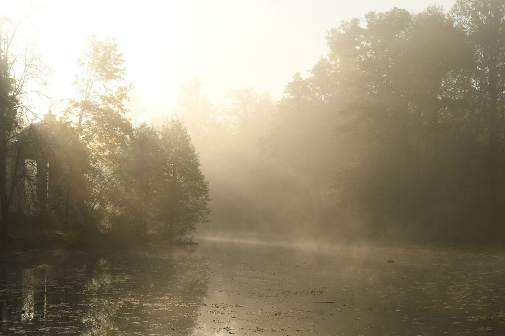 Утро туманное