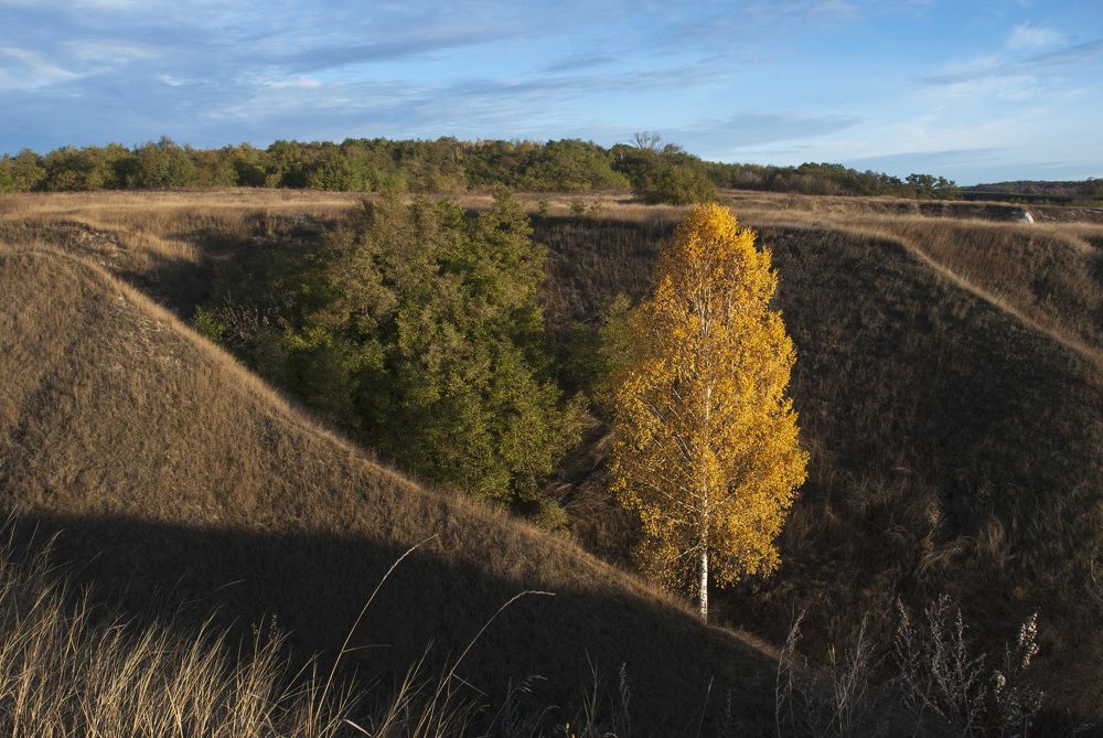 Photograph by Руслан Савченко