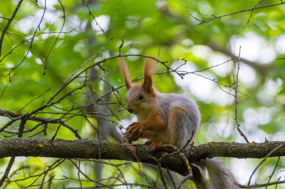Фотография автора Vladislav Shilo