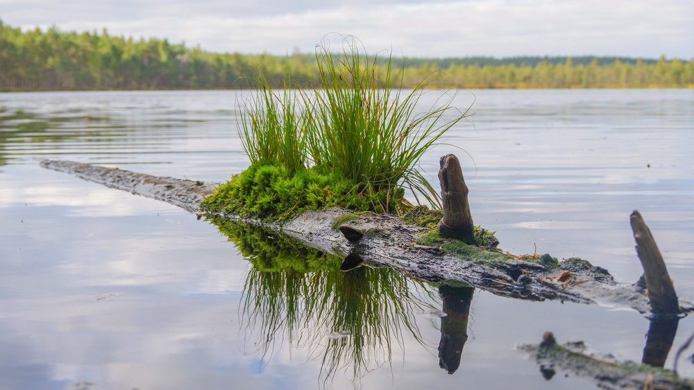 Photograph by Andrei Baburin