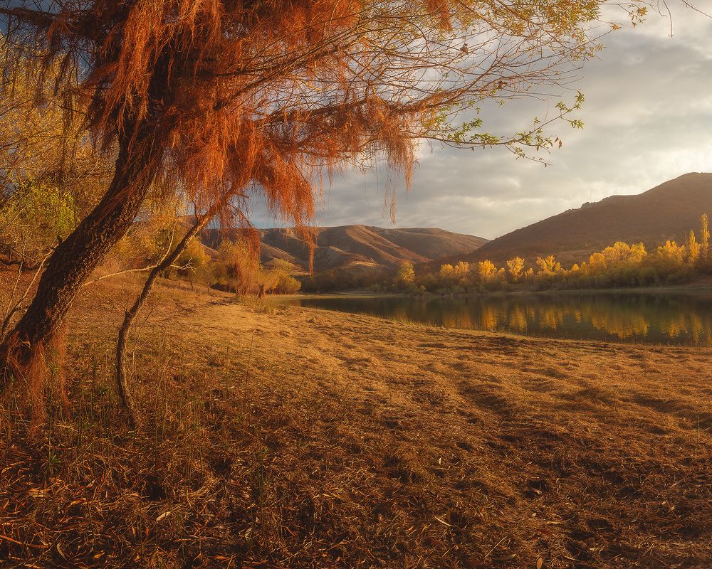 Photograph by Oleg Feofanov