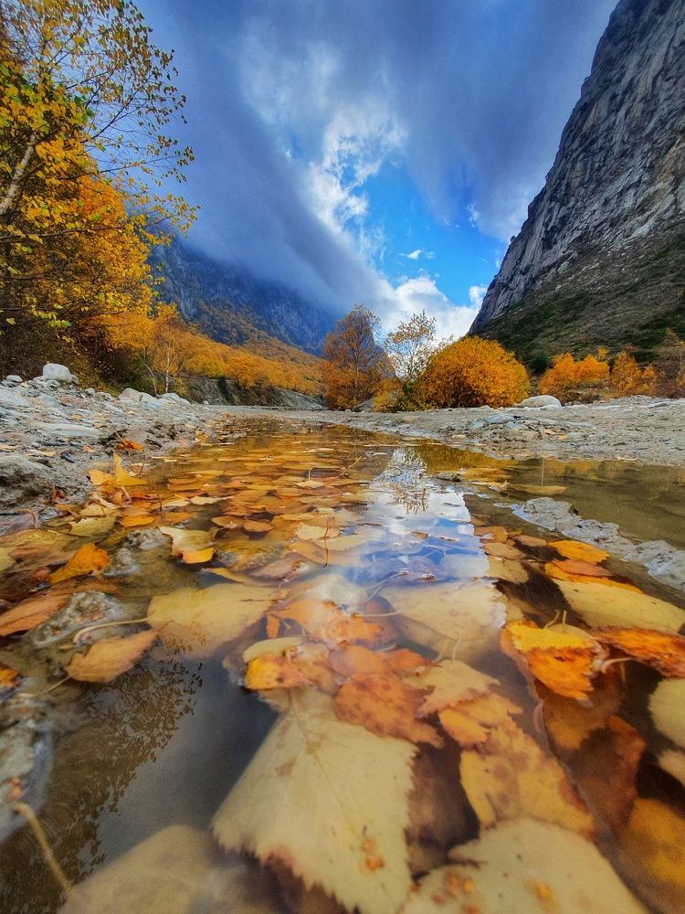 Осень — это вторая весна, когда каждый лист — цветок.