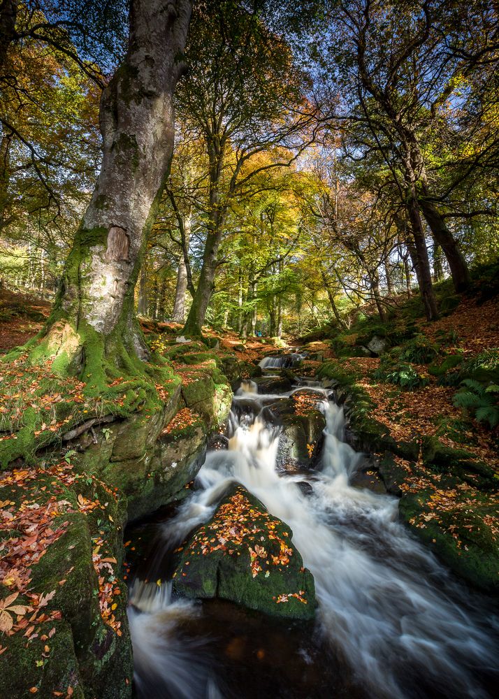 Photograph by Anatoly Chomko