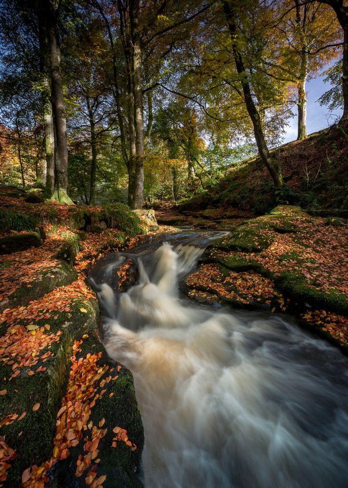 Photograph by Anatoly Chomko