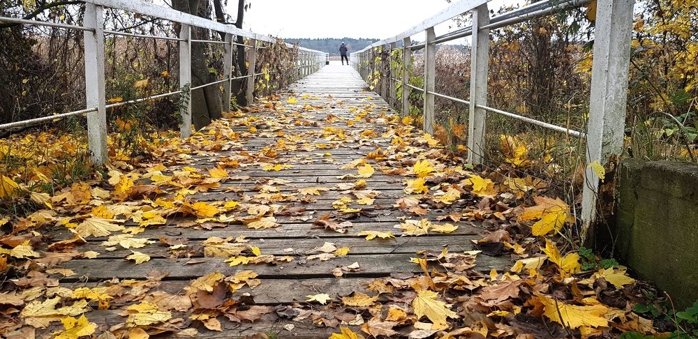 Photograph by Larisa Gella