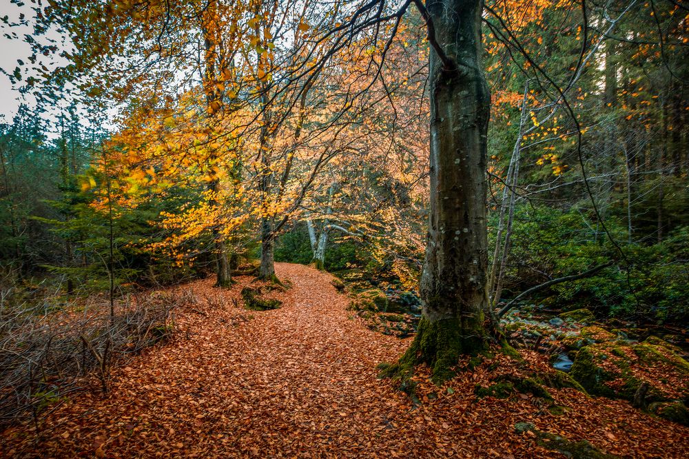 Photograph by Anatoly Chomko