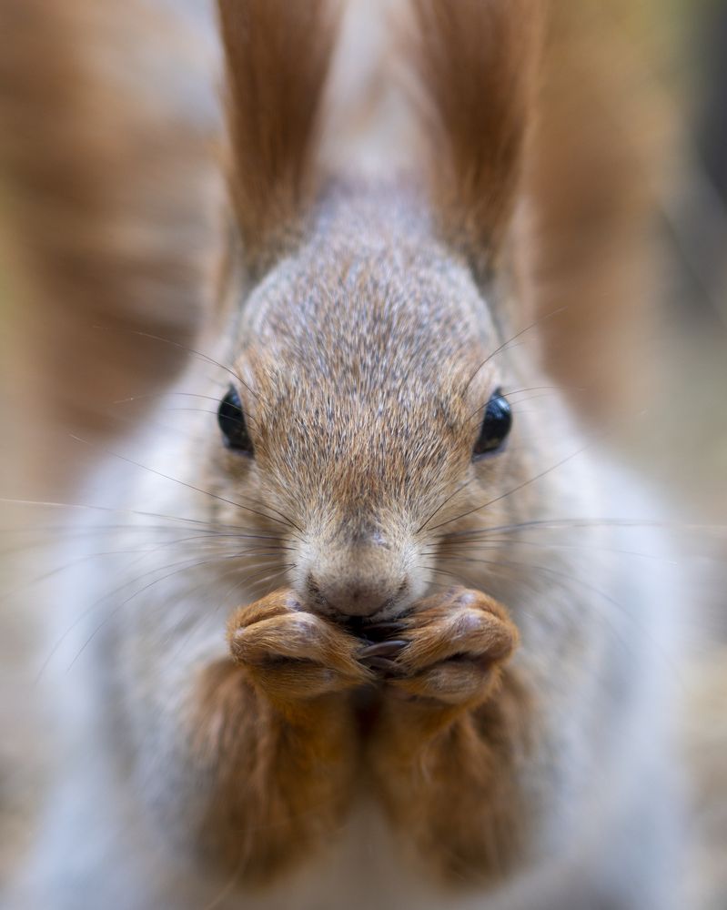 Фотография автора Сергей Затямин
