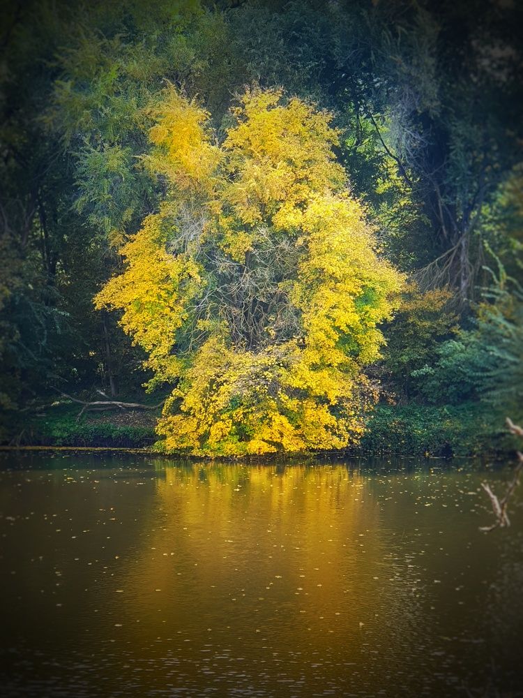 Photograph by Андрей Яковлев