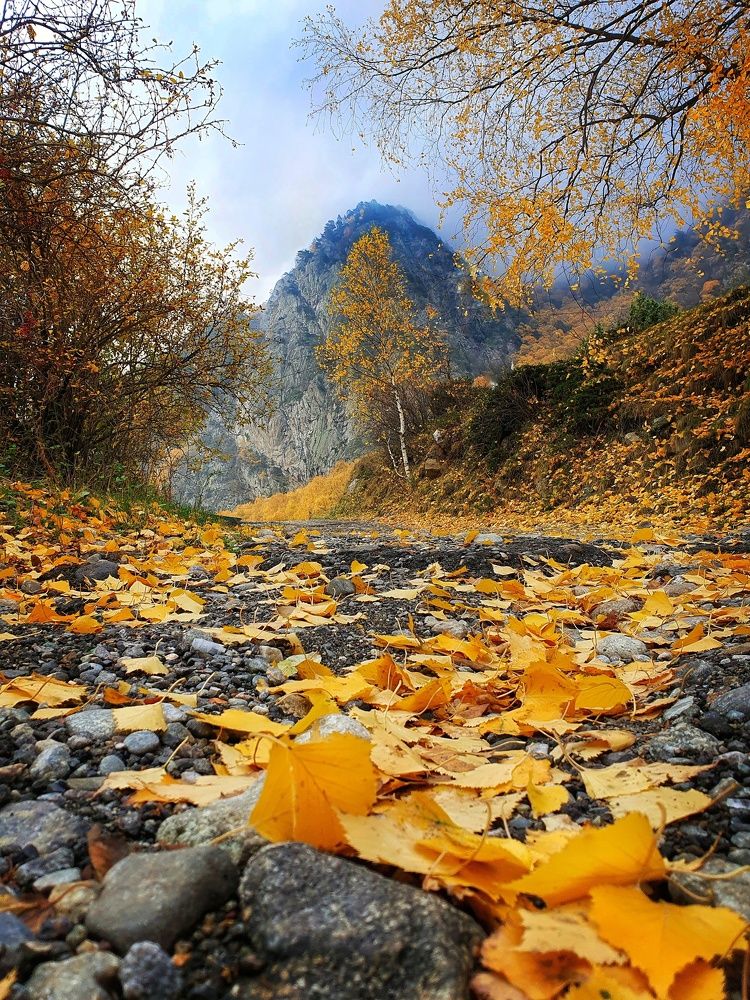 Последние дни золотой осени...