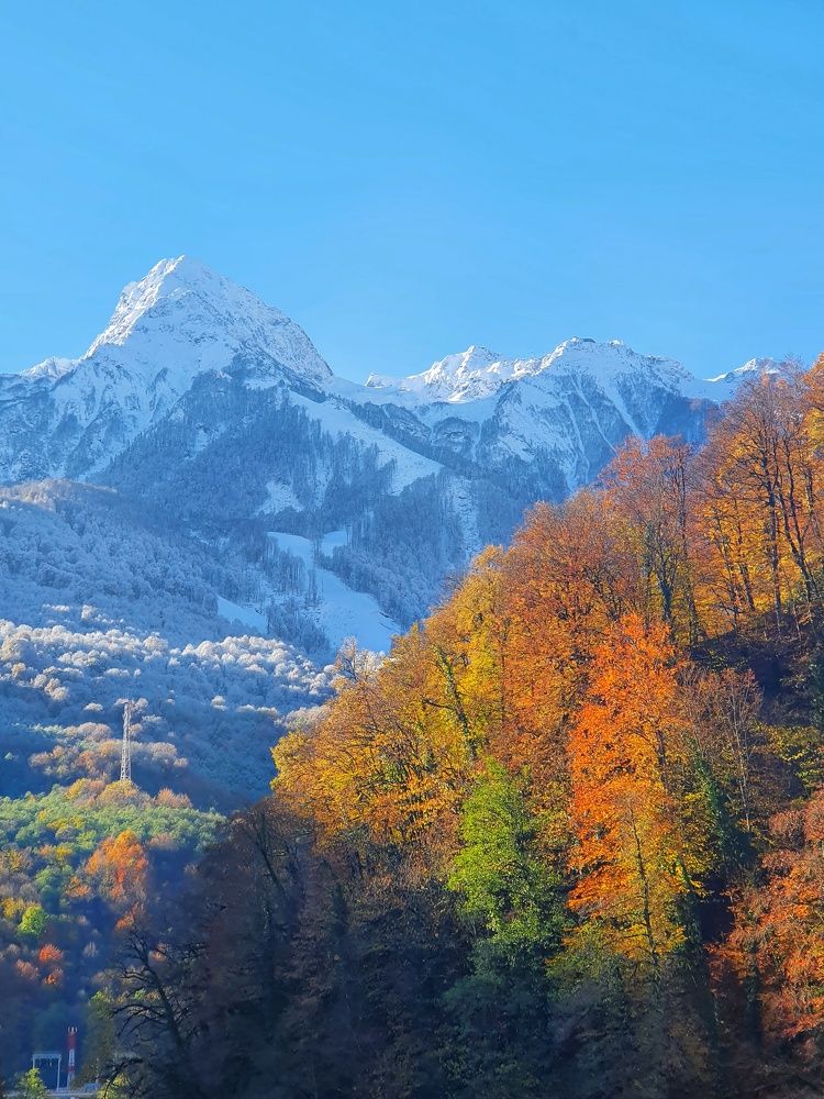 Контраст...осень- зима