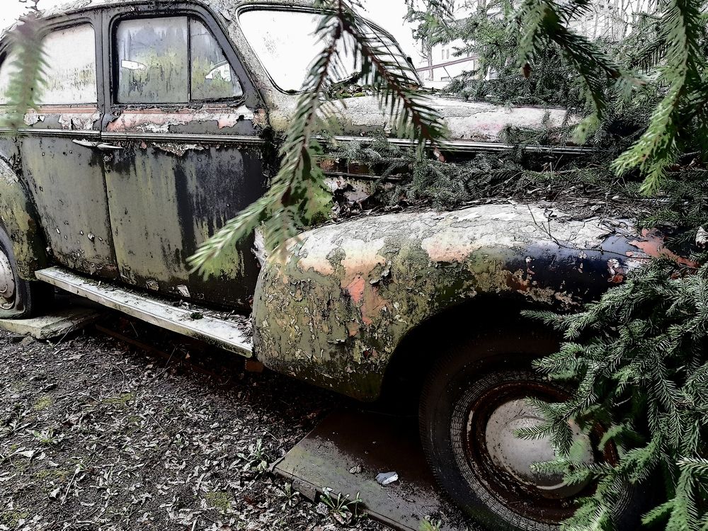 Photograph by Larisa Gella