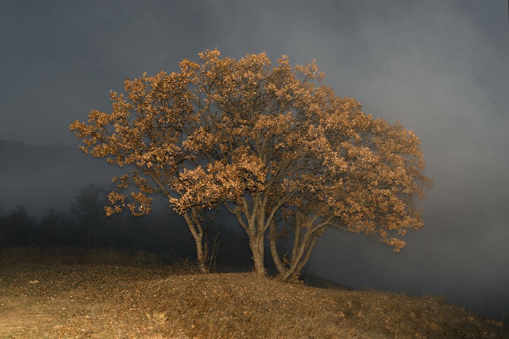 Photograph by Валерий Лейко