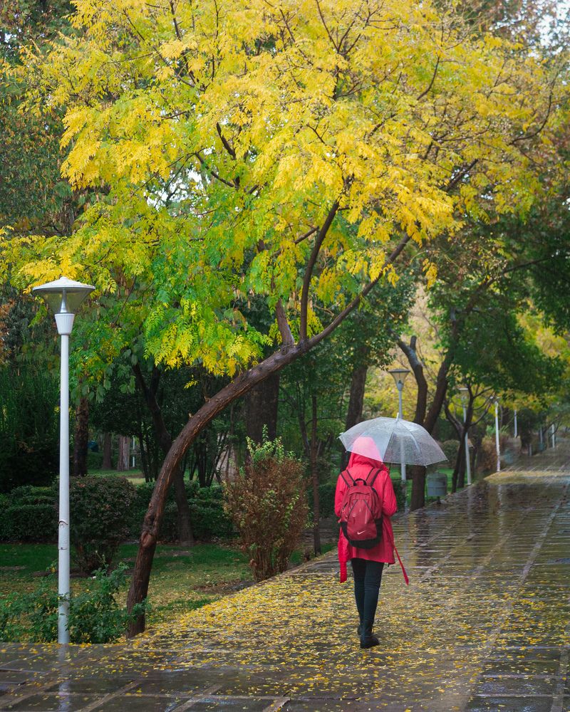 Photograph by Alireza Zaghian