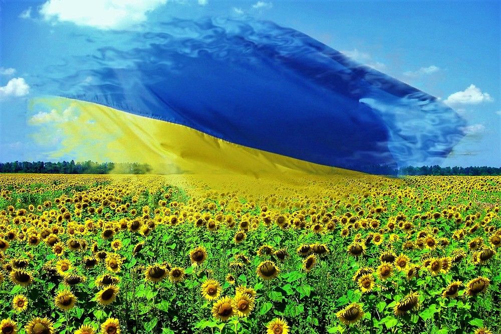 Photograph by TERESA Yurkevich