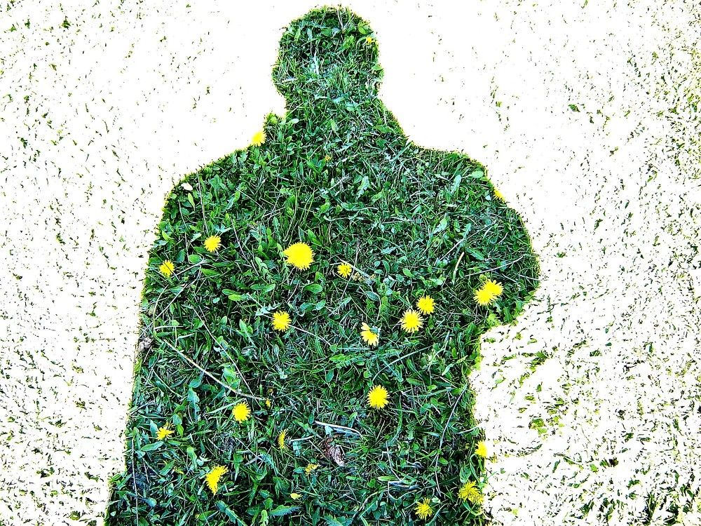 Photograph by TERESA Yurkevich