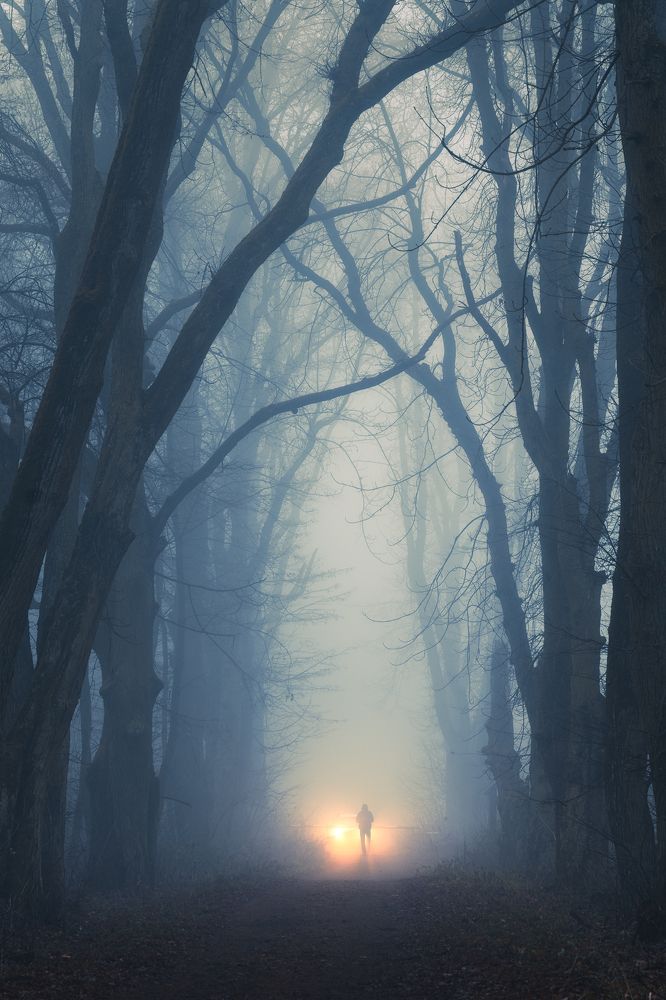 Фотография автора Michał Tomczak