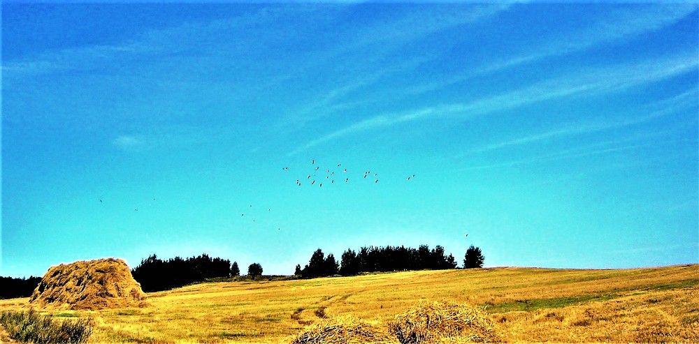 Photograph by TERESA Yurkevich