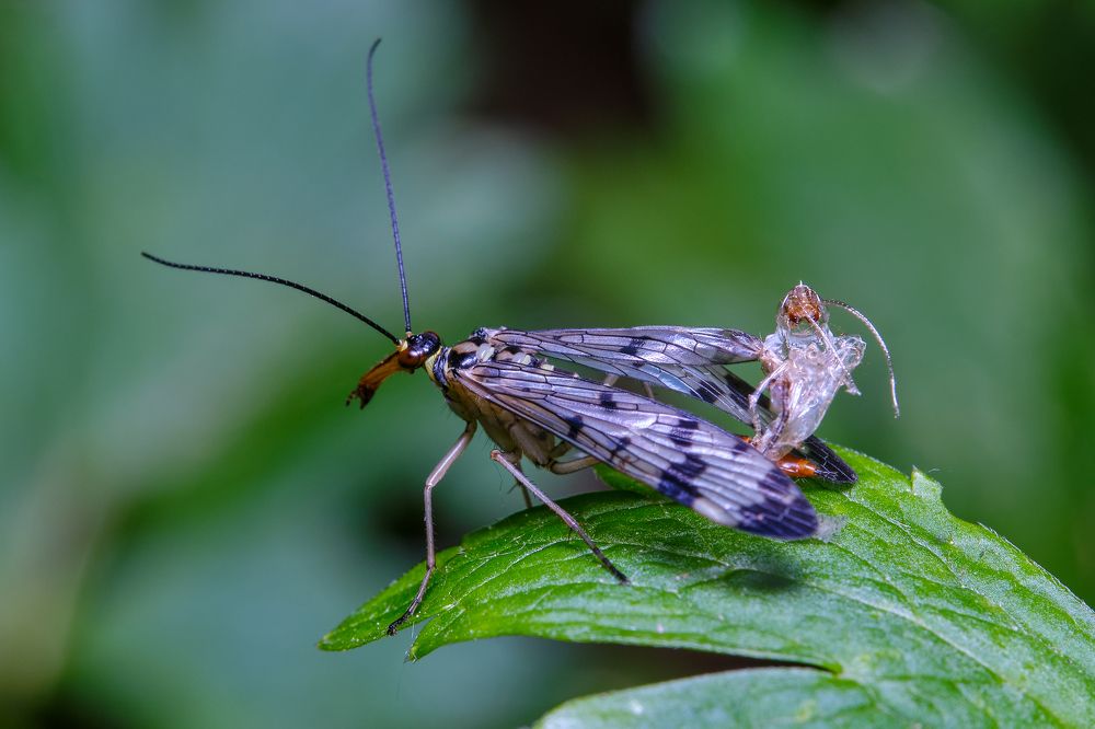 Photograph by Сергей Биденко