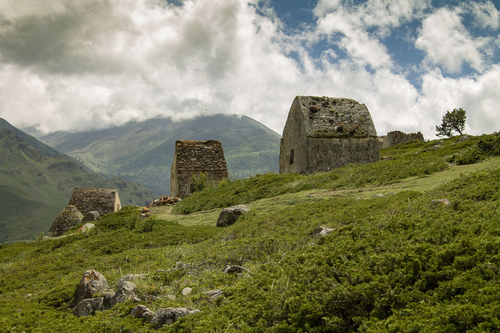 Photograph by Николай Ефимов