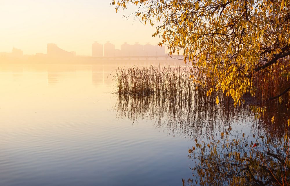 Фотография автора Валерий Лушин