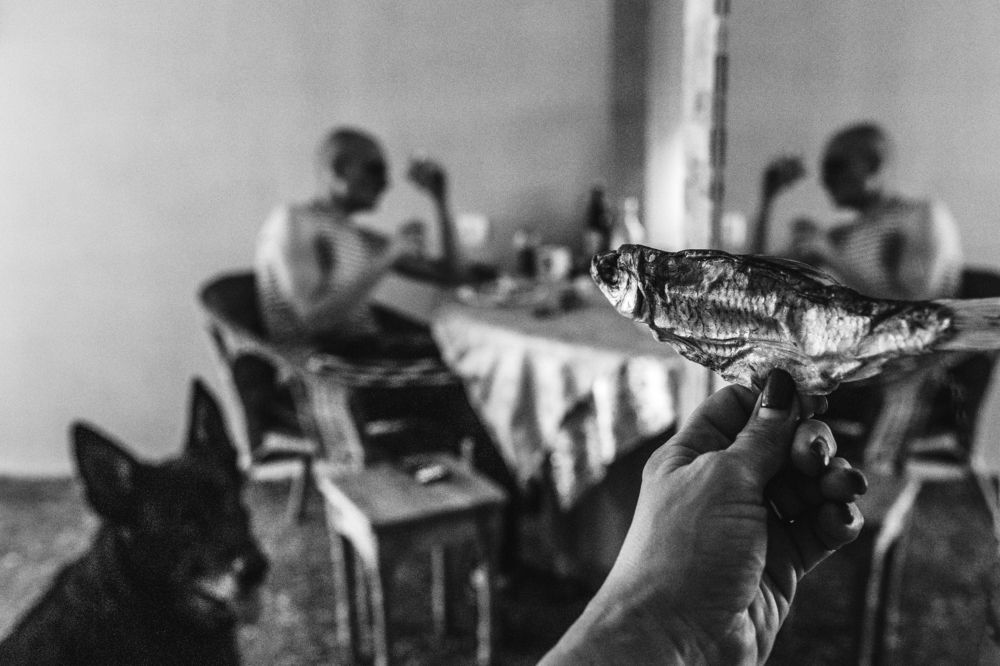 Photograph by Алена Гаспарян