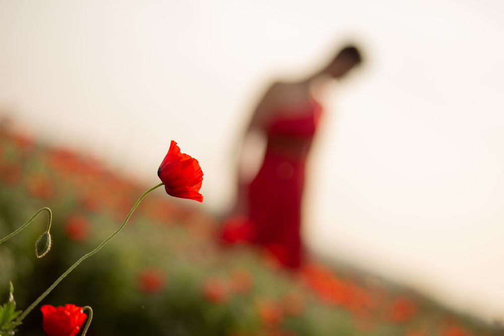 Photograph by Алена Гаспарян