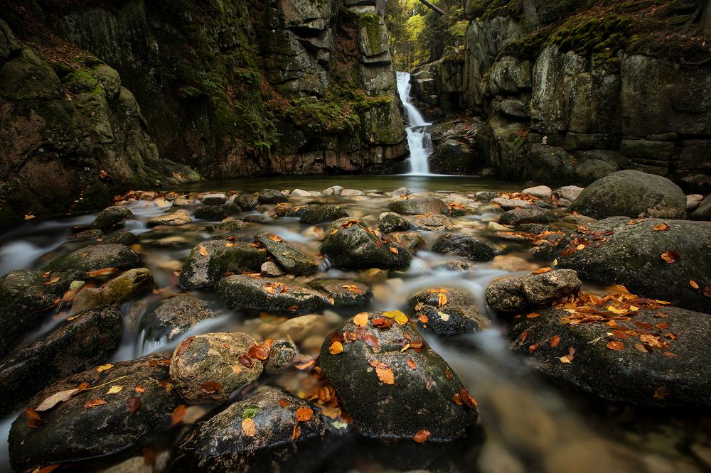 Photograph by Sieku Łukasz