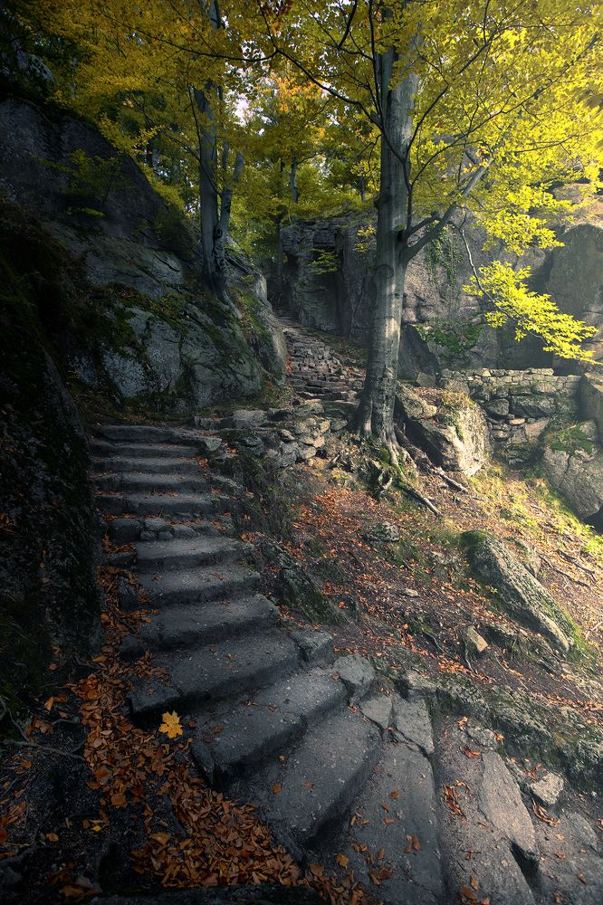 Photograph by Sieku Łukasz