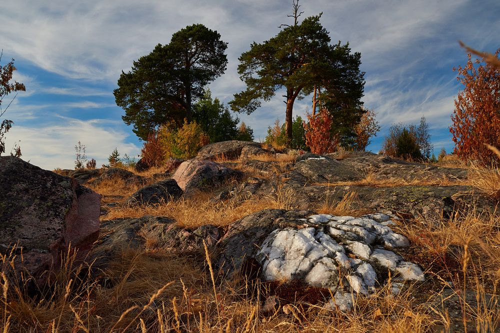 Photograph by Владимир Греков