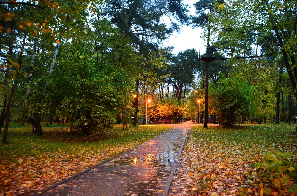 Photograph by Galina Baranovskaja