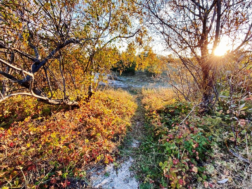 Photograph by Galina Baranovskaja