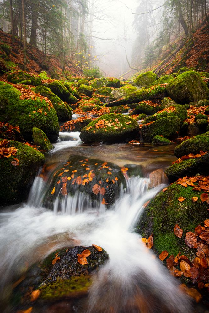 Photograph by Bogdan Barbulescu