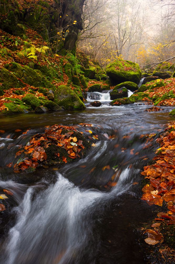 Фотография автора Bogdan Barbulescu