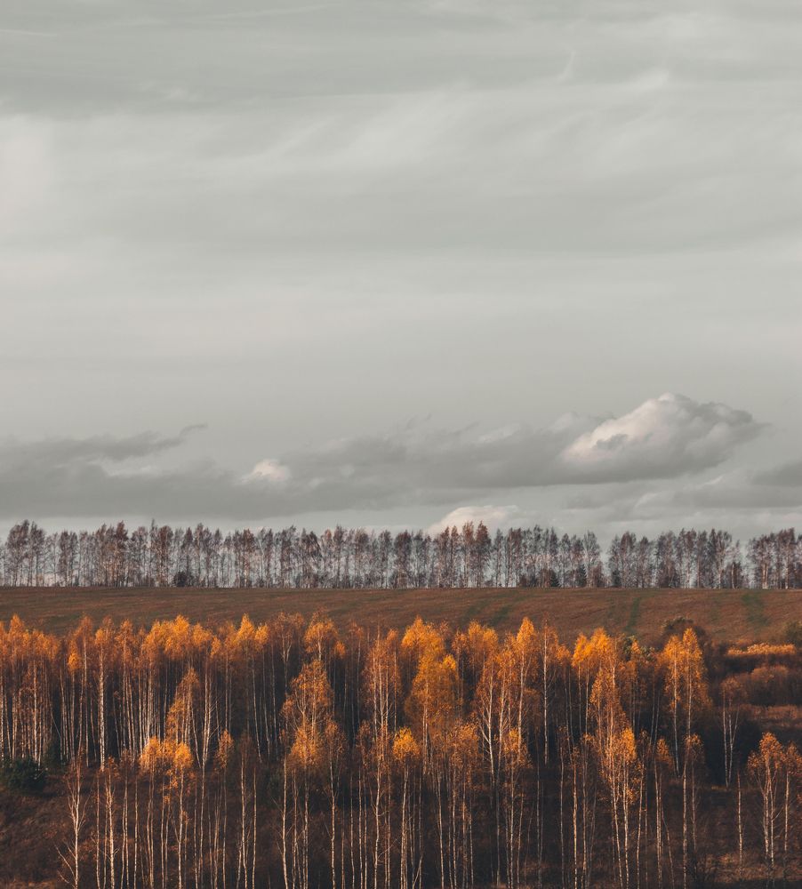 Photograph by Андрей