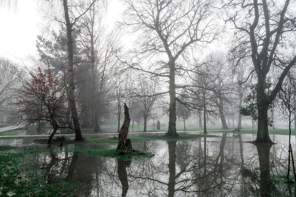 Photograph by Sergejs Barkans