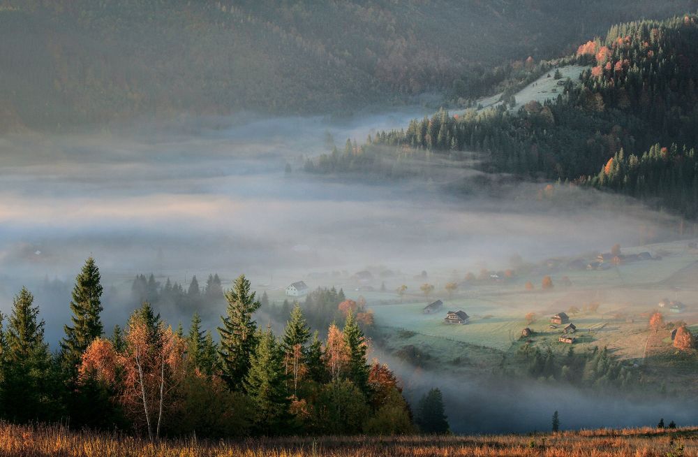 Фотография автора Милокост Алексей