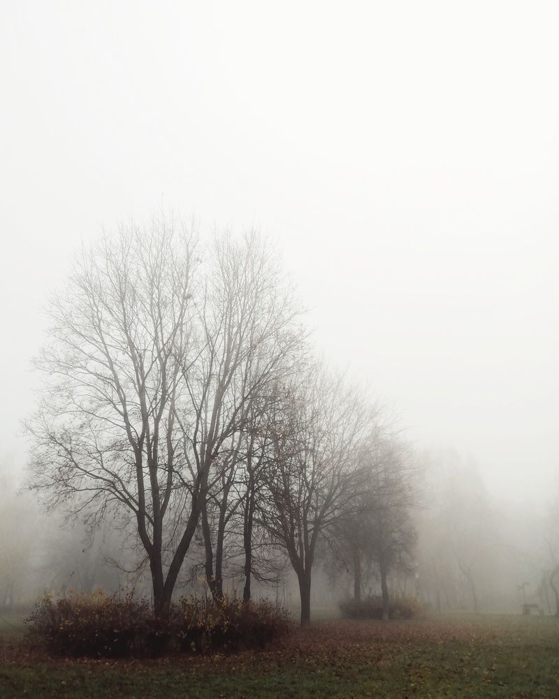 Photo #6714607