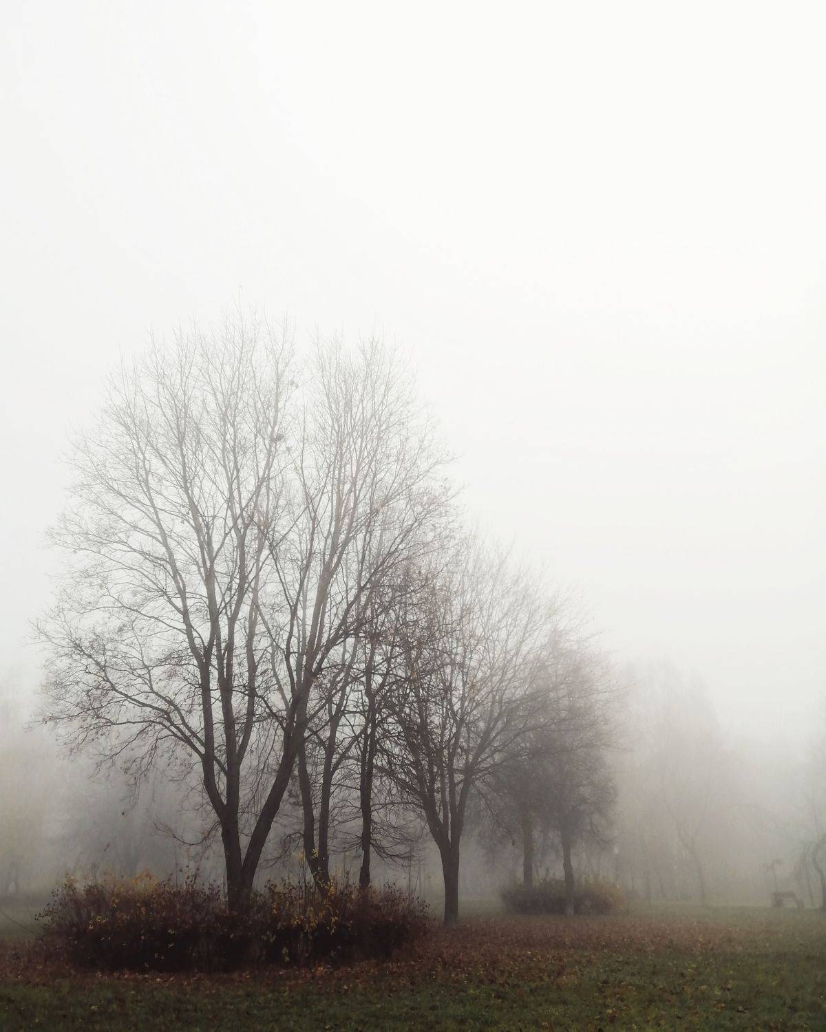 Photo #6714607