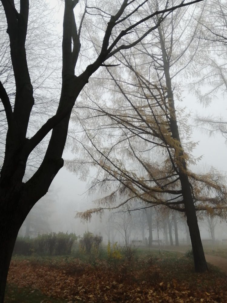 Photo #6714610