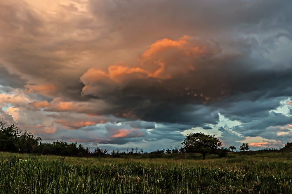 Photograph by Suncica Andrejevic