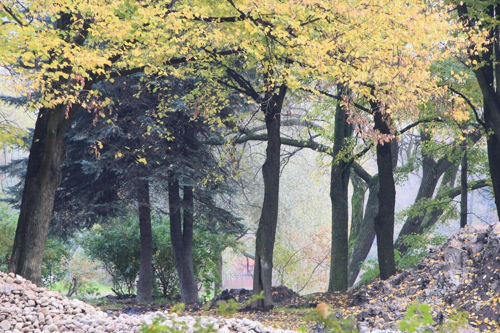 Photograph by БЕРТЕЛЬС ВАСИЛИЙ