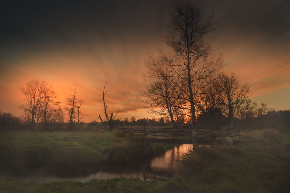 Photograph by Dariusz Budyta