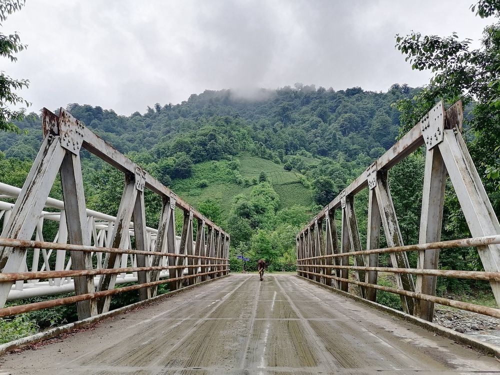 Photograph by Kambiz Habibi